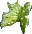 pillango4_.jpg